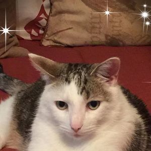 Meet your Posher, Denise